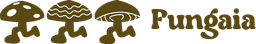 FunGaia Coffee Co.