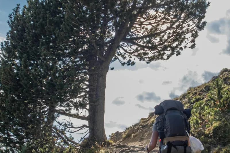 Hiker with backpack on mountain trail