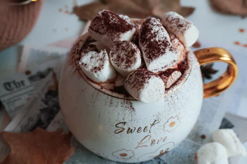 Warm mug of hot chocolate with autumn setting