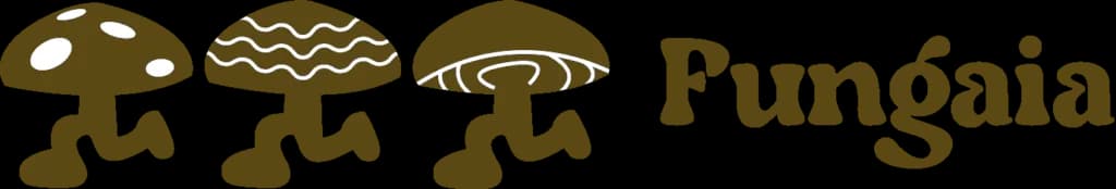 What Lion's Mane Actually Does for Your Thinking