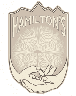 Hamiltons Coffee