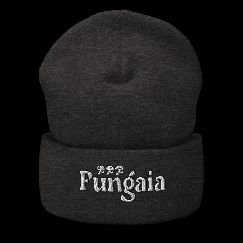 Fungaia Cuffed Beanie — front view