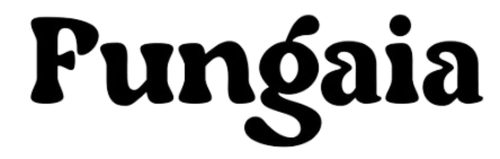 6731ce13c1c7a60e335d0950_672129de789ddb3eea3a142d_Untitled design (36)-p-500